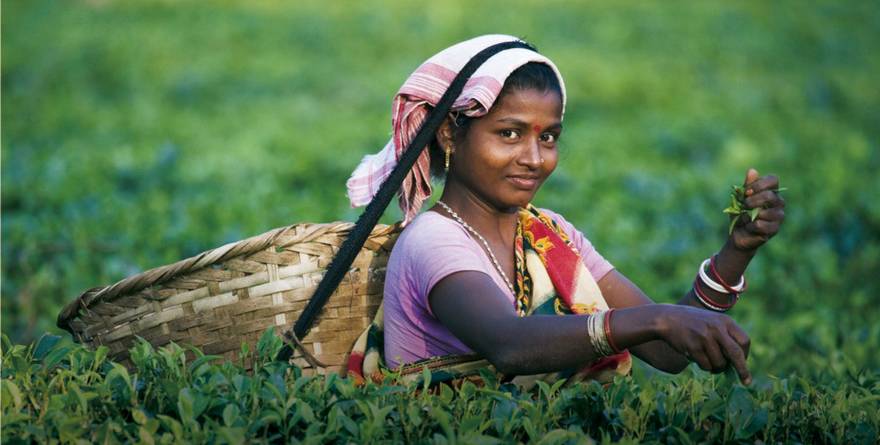 不好意思，我出去玩不是给你带礼物的！