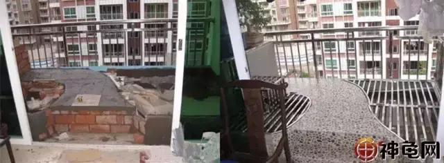 新手怎么养龟龟池里该放什么东西,10只25厘米龟需要多大的龟池