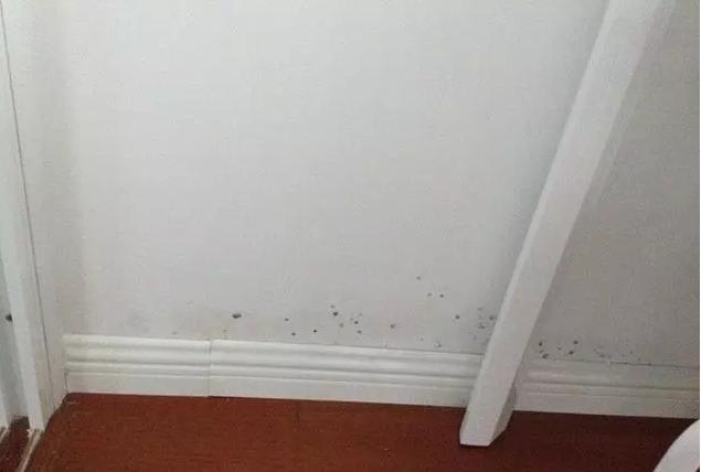 墙壁发霉发黑该怎么处理,墙壁黑色发霉怎么办