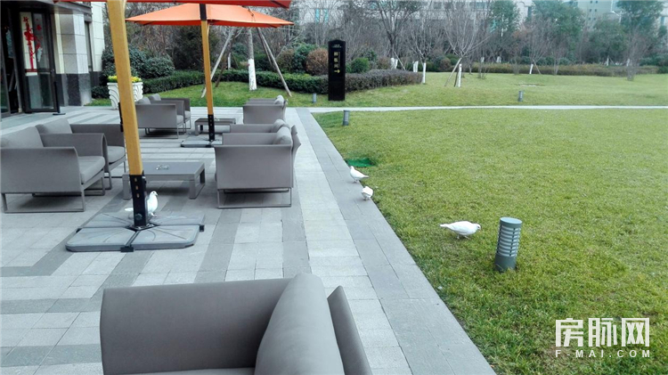 左边万科城,右边智慧城,合能公馆在长安一点也不偏!