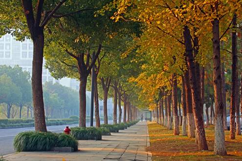 120岁生日倒计百天！爱浙大有120个理由，也许1个已足够！