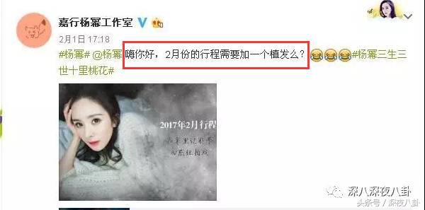 杨幂面对黑粉大气语录,杨幂自黑代表什么