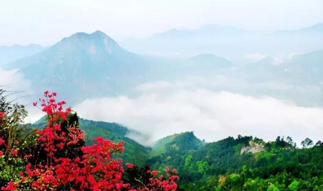 春风里，大爱罗田！