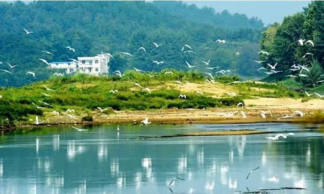 春风里，大爱罗田！