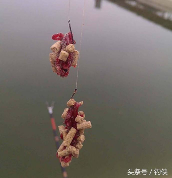 蚯蚓红虫正确使用方法,红虫蚯蚓窝料的使用方法