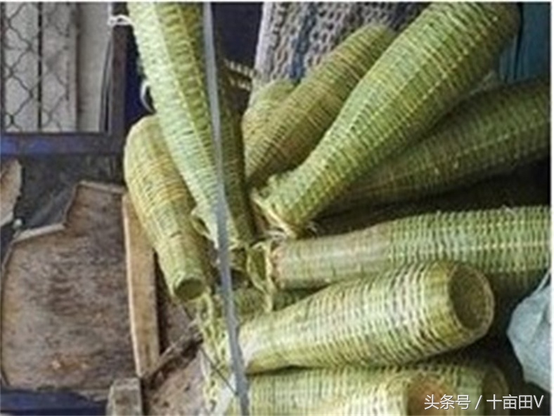 捕黄鳝泥鳅绝密配方,农村户外捕黄鳝泥鳅下地笼