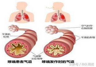 水喝少了身体有什么反应,水喝少了有什么危害