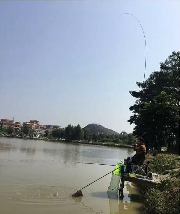 钓友公认药酒测试,钓友鱼饵真实测试
