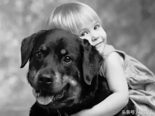 顽皮家族宠物医院怎么样,顽皮家族宠物医院属于什么组织