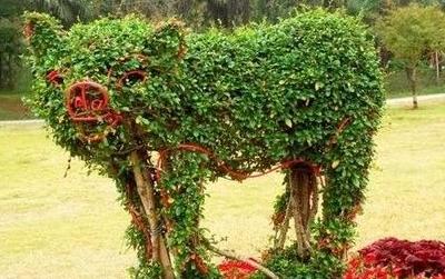 2024年一号文件养殖业,养殖业最新政策通知