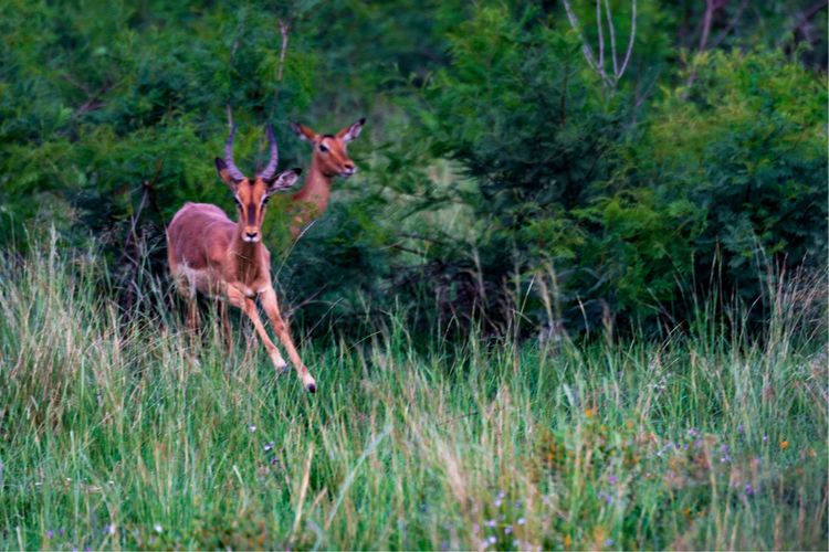 走进彩虹之国感受南非独特之美,彩虹之国南非