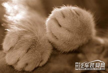 考科目二坡道起步总是熄火,考科目一二脚应该怎么踩离合