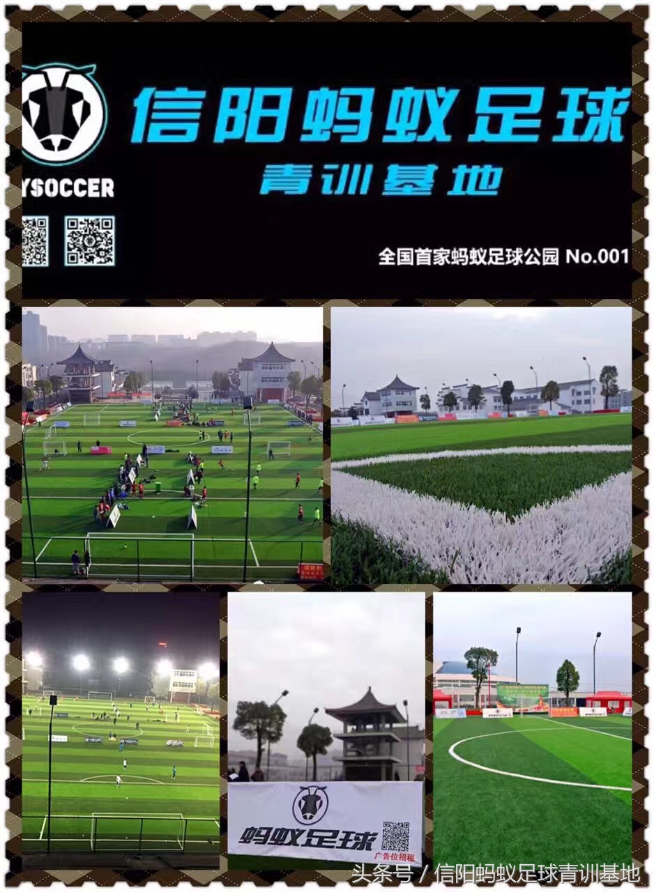 信阳足球暑假训练营,平桥蚂蚁足球俱乐部