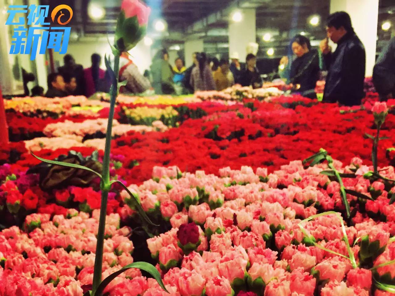 外交部蓝厅,外交部蓝厅在哪