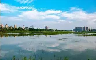 新郑地产,新郑地产市场