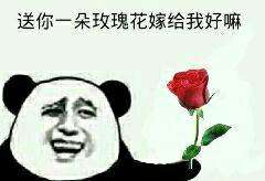 杜蕾斯2019情人节,杜蕾斯特权情人节