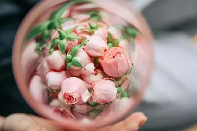 nars值得购买的单品,nars有什么单品值得买