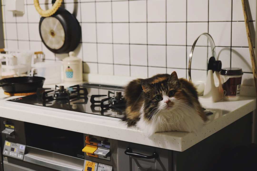 宜家的厨房橱柜质量怎么样,宜家厨房怎么样