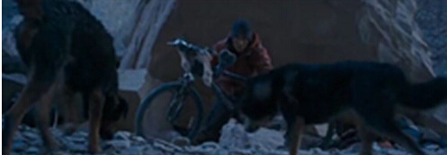 骑行遇到被狗追着怎么办,骑行被狗追是什么征兆