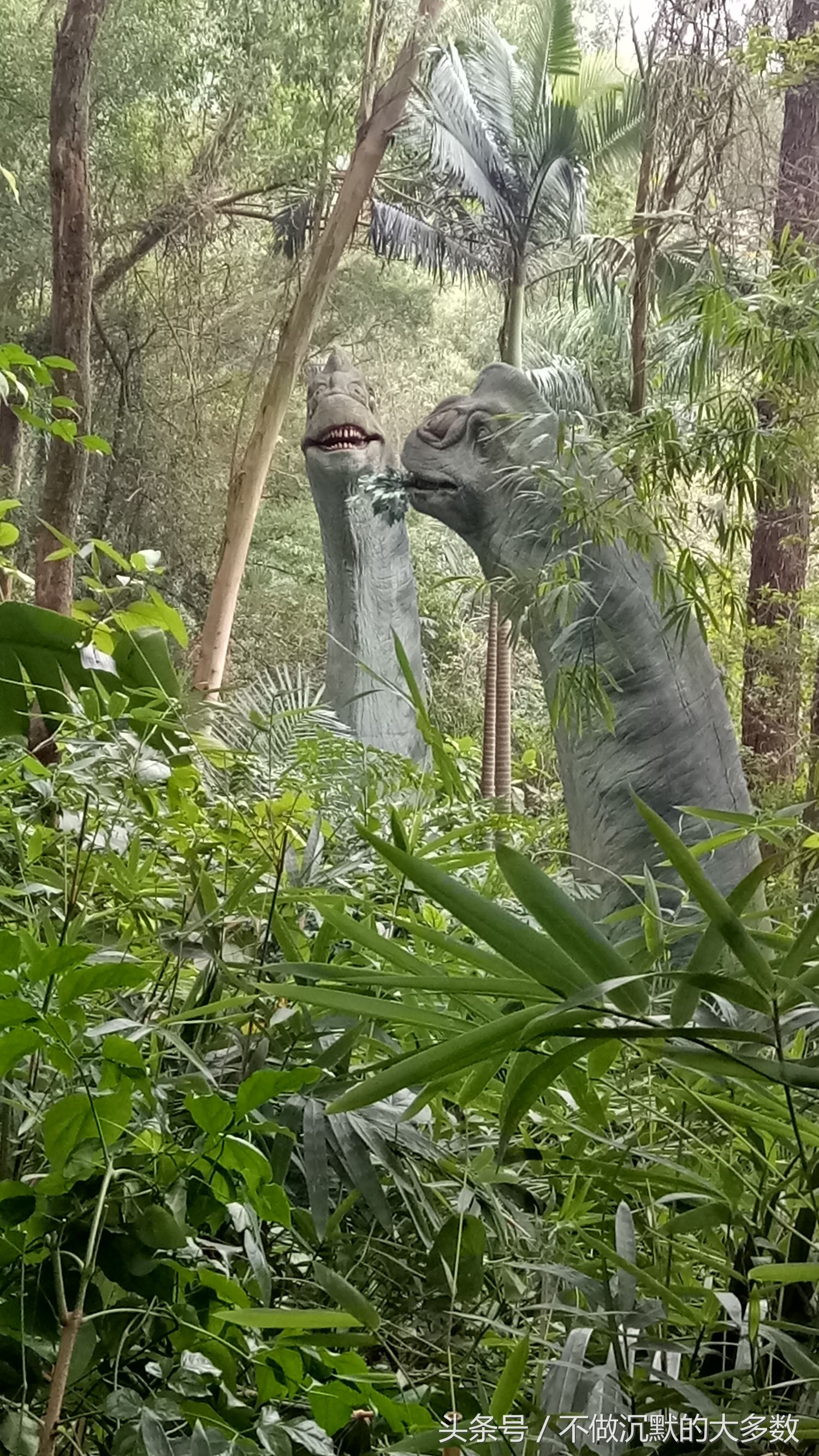 长隆野生动物园金蛇秘境有毒蛇吗,长隆野生动物园金蛇秘境怎么走