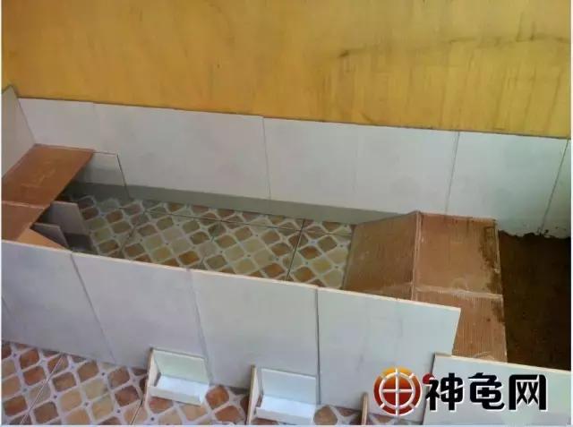 新手怎么养龟龟池里该放什么东西,10只25厘米龟需要多大的龟池