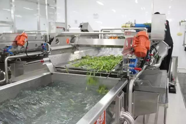 中央厨房亏损怎么办,中央厨房困境与出路