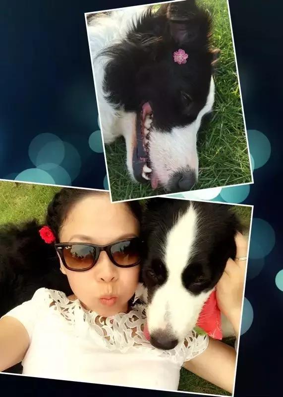 长沙人爱养什么品种的鸟,长沙人为什么喜欢养乌龟