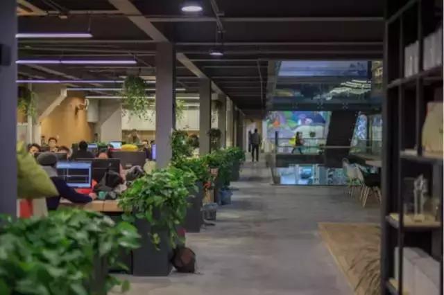 这真的是办公室吗?我不信!