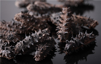 电视购物海参质量怎么样,电视购物海参4.9元一个