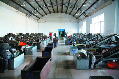 小松籽也转型：以“文化”坚果敲市场之门