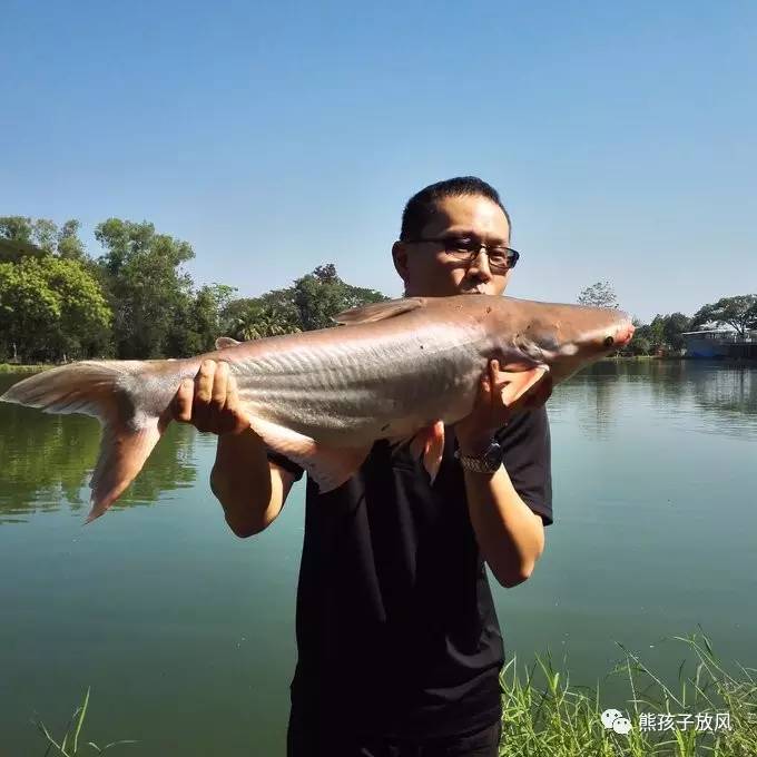 能在异国被警察抓也没谁了吧？这是我的清迈，和你去的不一样！
