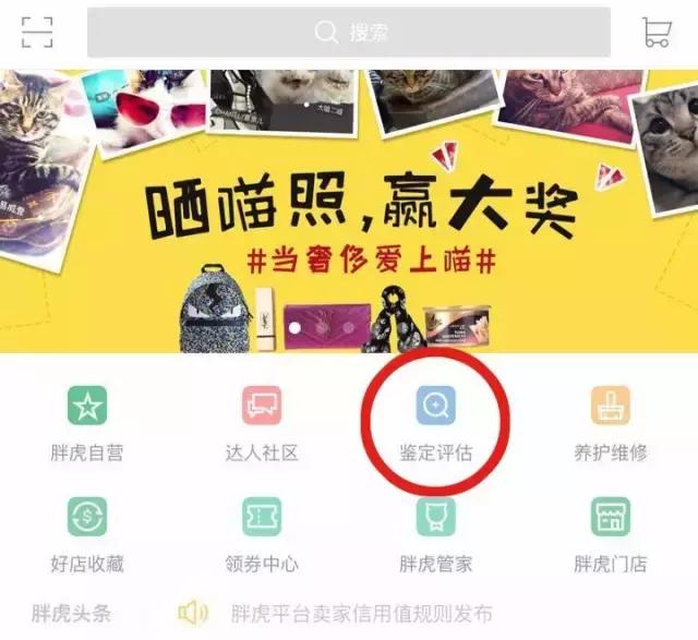 chloefaye缺点,chloefaye小号辨别真假