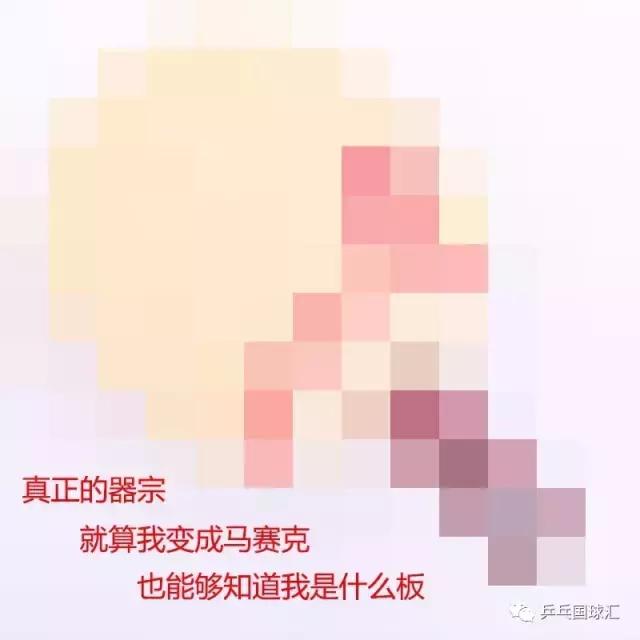 乒乓装备大盘点：哪些球板具有情侣气质呢？-国球汇