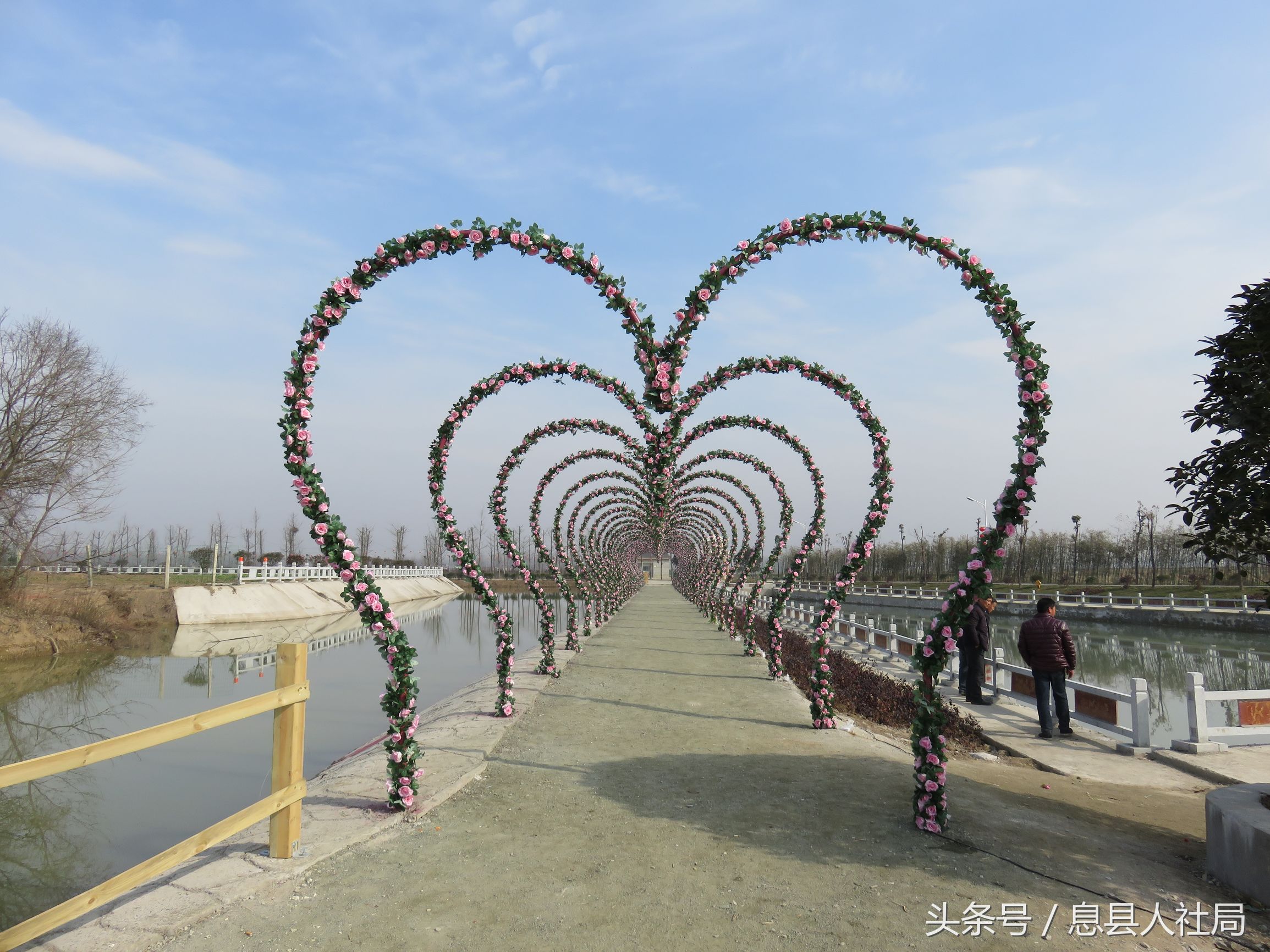 河南新蔡春风行动,信阳市春风行动