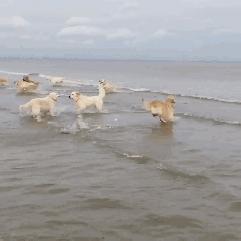 诶哟喂！有点搞笑的嘛！（1）