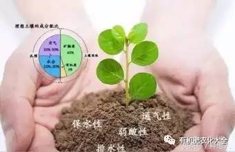 植物肥料知识荟萃,最全肥料知识100问值得一看