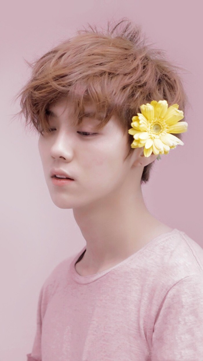 苹果11壁纸猫耳朵鹿晗,鹿晗图片高清壁纸全屏