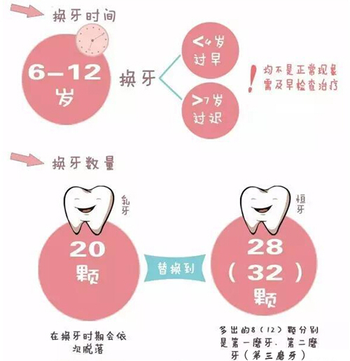 中国医科大学的口腔研究生,中国医科大学儿童口腔科
