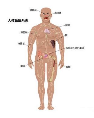 看自身免疫性疾病到哪个科室,自身免疫性疾病是先天得的吗