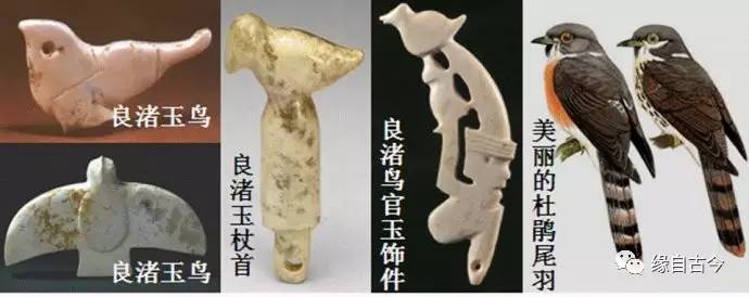 良渚神徽象征,神徽纹背后隐藏的良渚文化