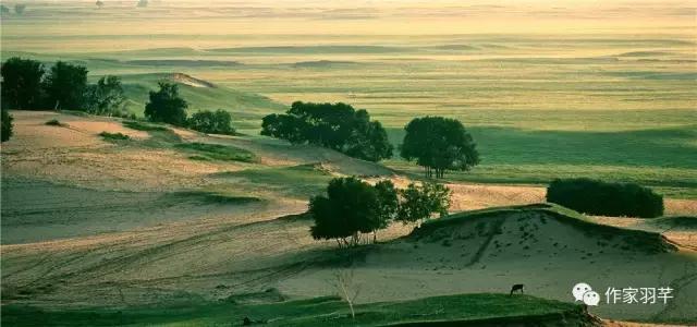 藏婚｜我爱你好好，但我无法娶你-08