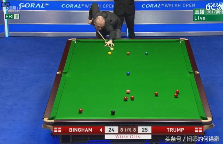 宾汉姆与特鲁姆普比赛结果,宾汉姆最憋屈的一场比赛视频