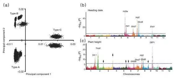 2022年中国重大科技盘点,2020年重大科学与工程
