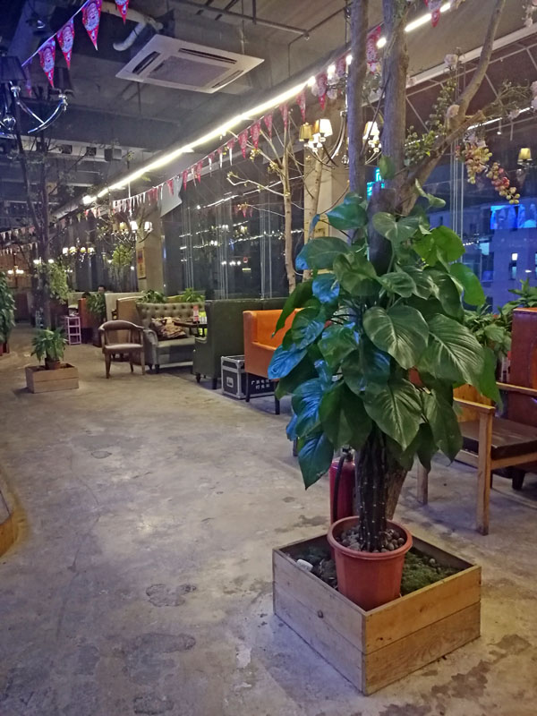 广西全猪宴哪里最好吃,南宁吃烤巴马香猪肉哪家最出名