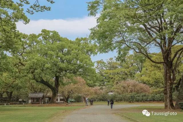 日本大阪旅游地震,日本旅游福岛地震
