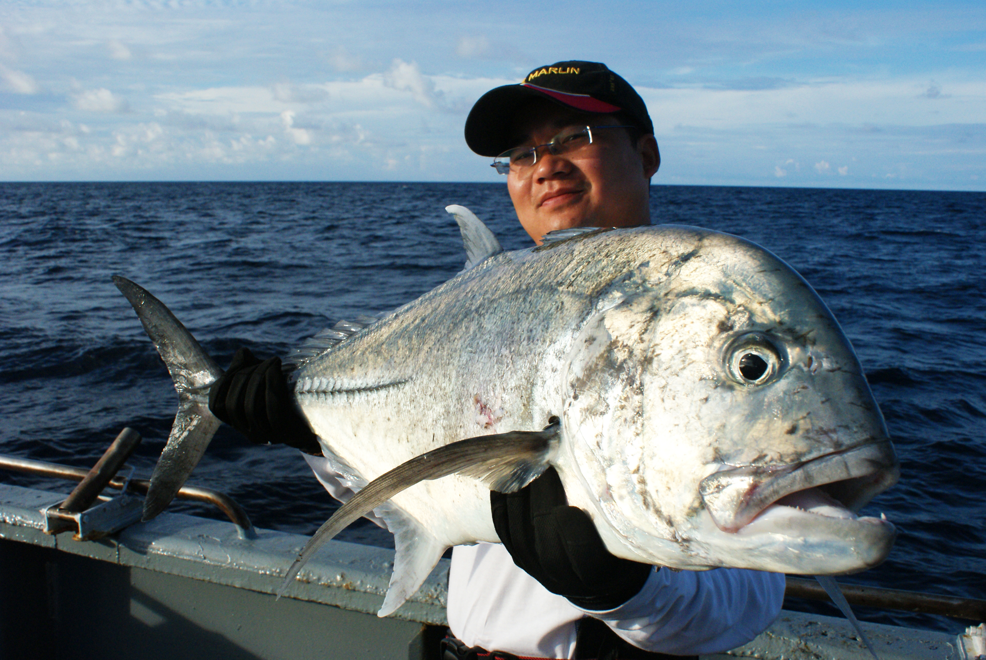 钓鱼有哪些肉食性鱼,海洋钓鱼常见鱼类