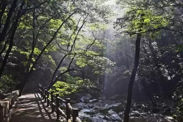 城南客运站旅游直通车,西安城南旅游班线