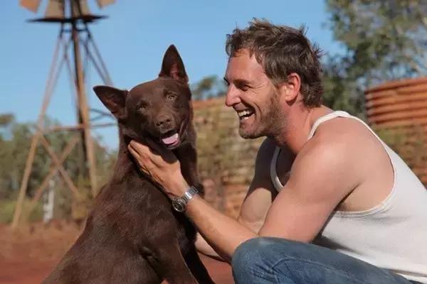 这些猫狗男女都爱看