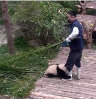 抱大腿暴富后续,抱大腿走上人生巅峰