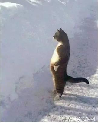 钢材销售员的一天，简直太形象了！笑喷……